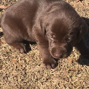 Meet your Posher, Ali